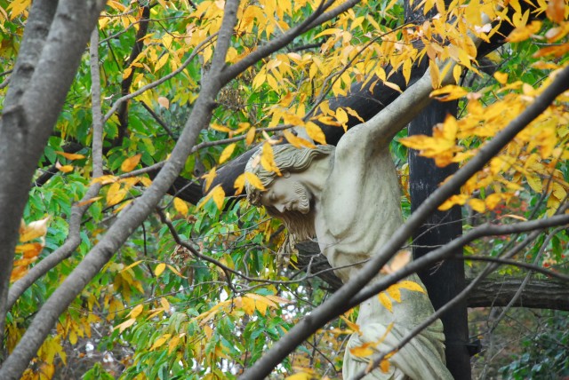 남한산성 성지 야외 미사터