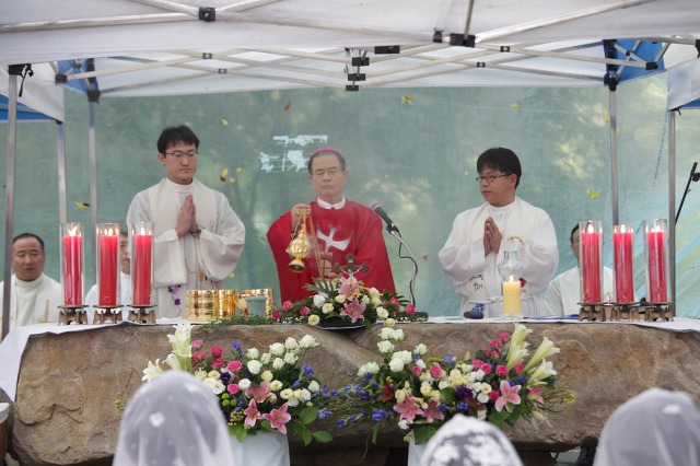 2013년도 순교자 현양대회