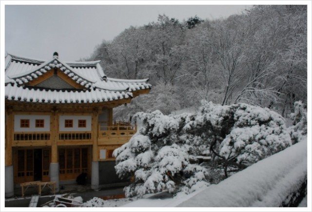 11월 27일 함박눈 – 2