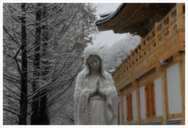 11월 27일 함박눈