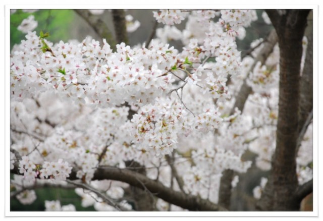 2014.4월 13일 성지 모습